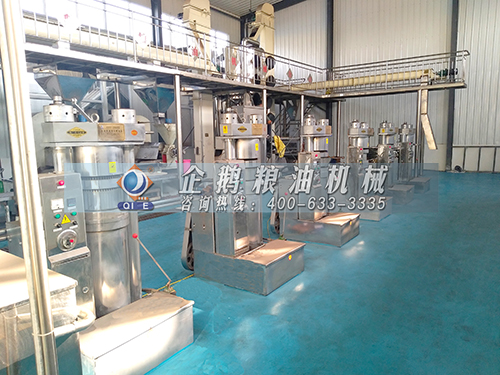 全自動(dòng)榨油機(jī)生產(chǎn)線的優(yōu)勢分析