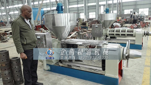 棕櫚果榨油機